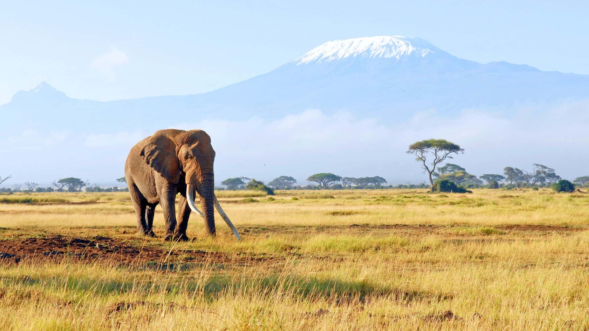 leisure travel 1 campiello viaggi