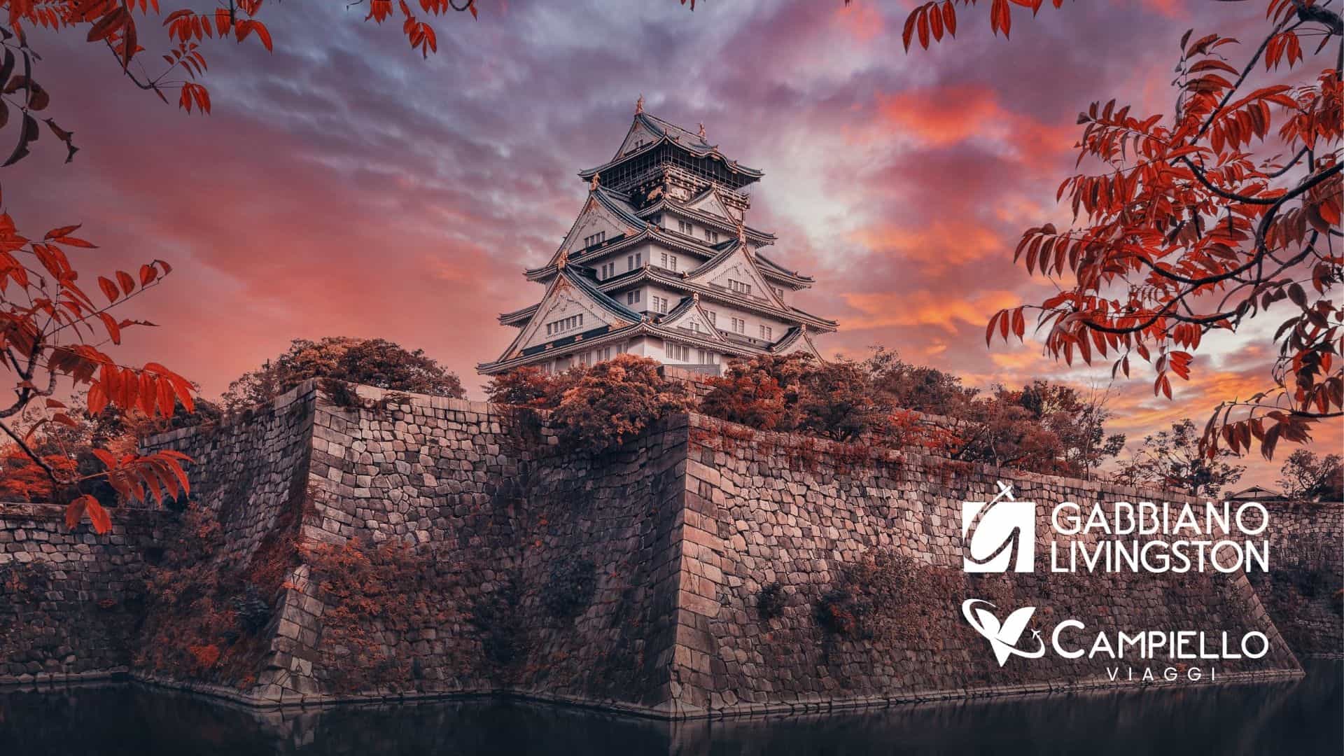 Giappone il paese delle contraddizioni - campiello viaggi 2